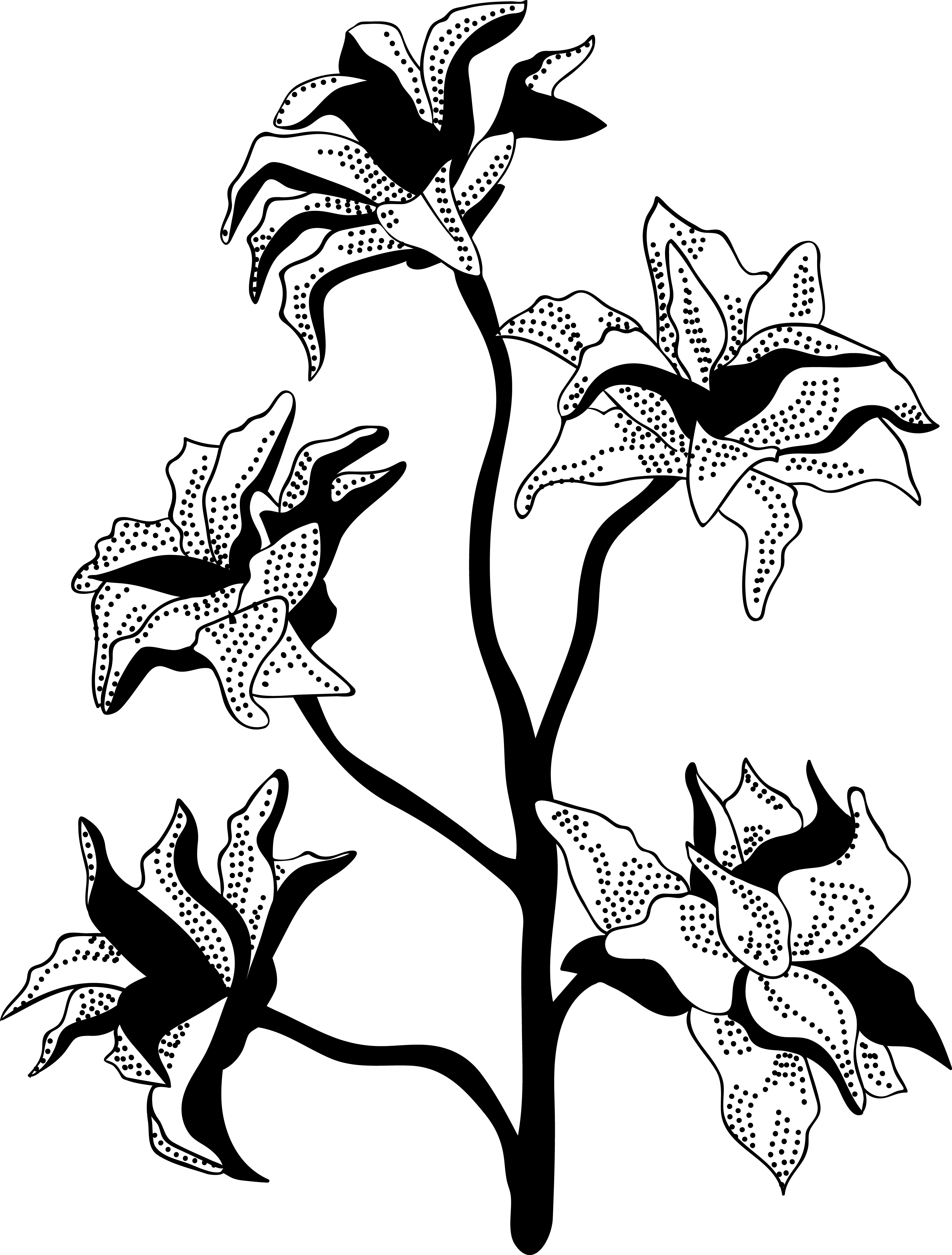 Image is not available