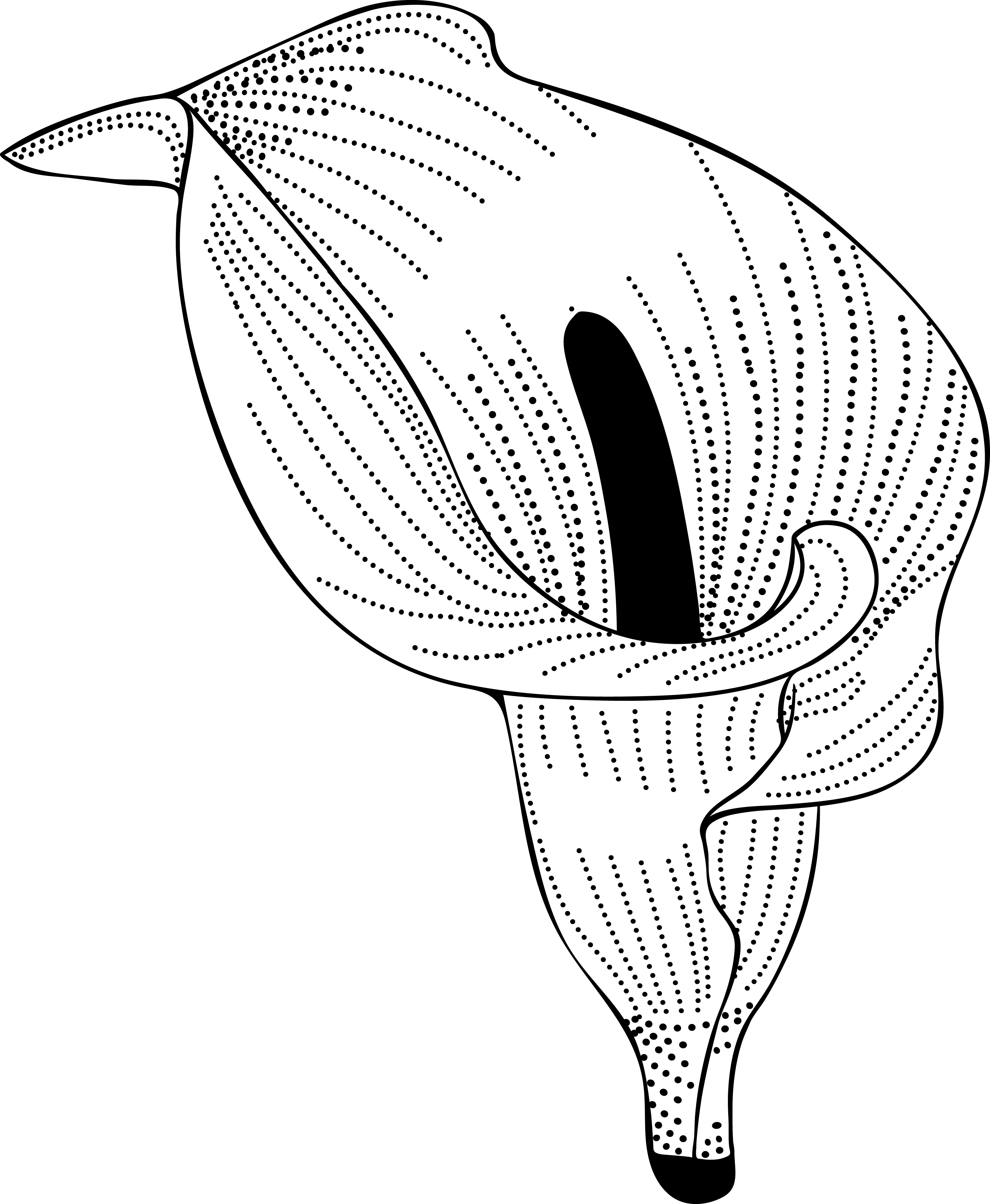 Image is not available