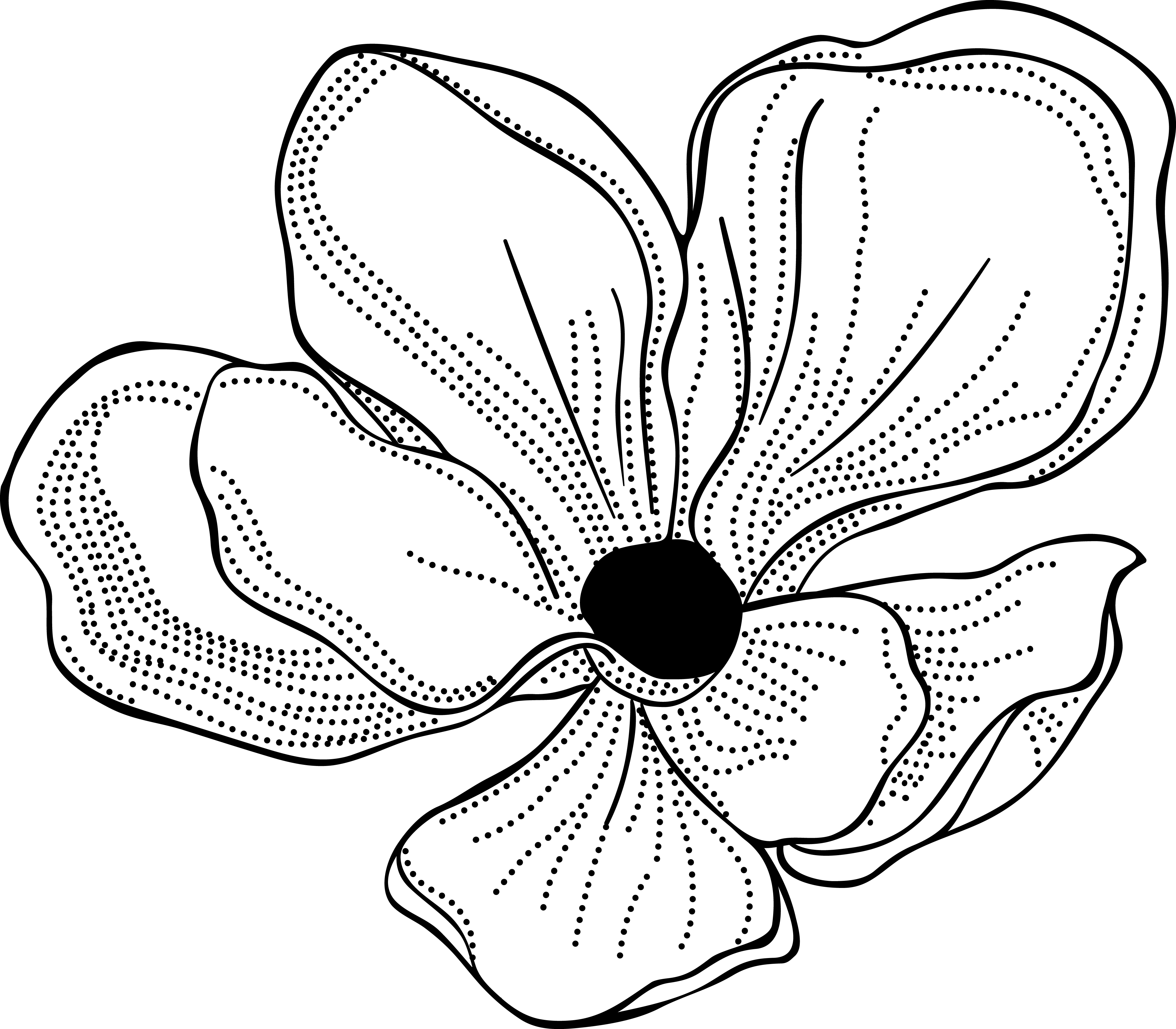 Image is not available
